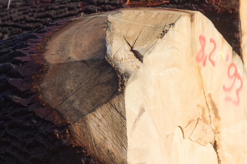 _MG_9474 Eikenhout houtzagerij