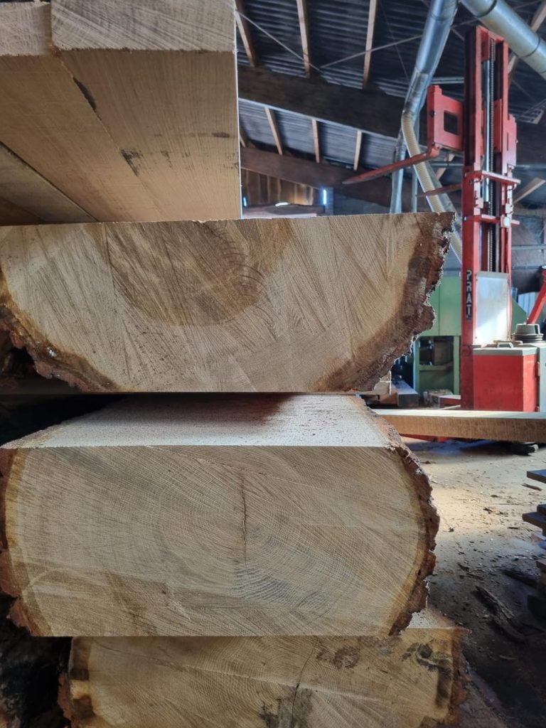 20230227_140835 eiken hout bomen gezaagd