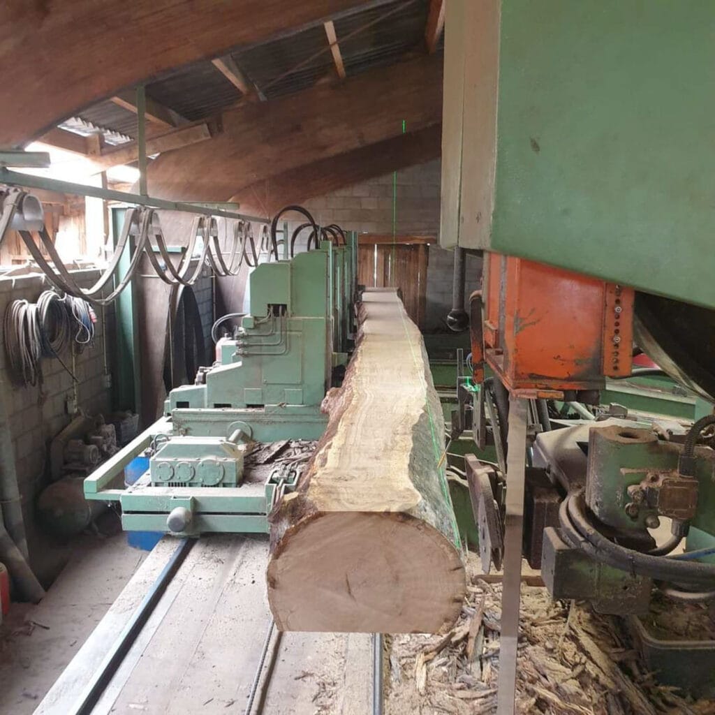 FB_IMG_1724314465816